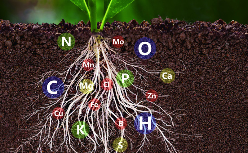 土壤中氮磷鉀含量的測定，土壤氮磷鉀檢測儀快速準(zhǔn)確