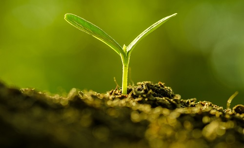 為避免誤導(dǎo)用戶，便攜式土壤水分速測(cè)儀使用需注意