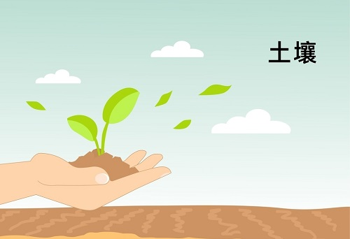 土壤墑情監(jiān)測系統(tǒng)在精細農(nóng)業(yè)發(fā)展中扮演著什么角色？