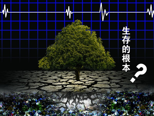 土壤重金屬嚴(yán)重超標(biāo)，土壤修復(fù)離不開土壤檢測(cè)儀